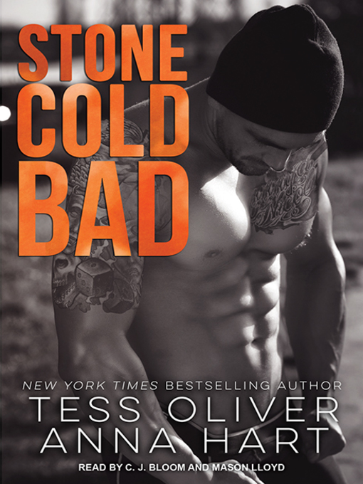 Title details for Stone Cold Bad by Tess Oliver - Wait list